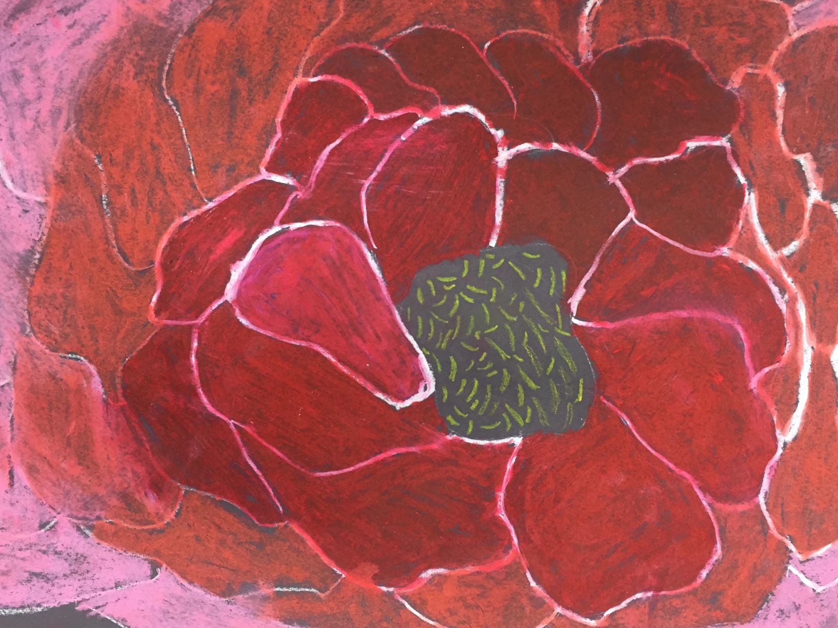 Face of a flower